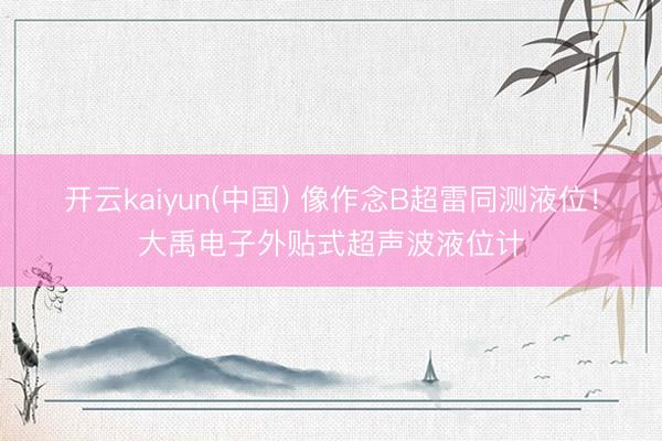 开云kaiyun(中国) 像作念B超雷同测液位！大禹电子外贴式超声波液位计
