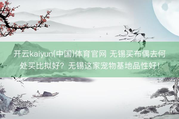 开云kaiyun(中国)体育官网 无锡买布偶去何处买比拟好？无锡这家宠物基地品性好！
