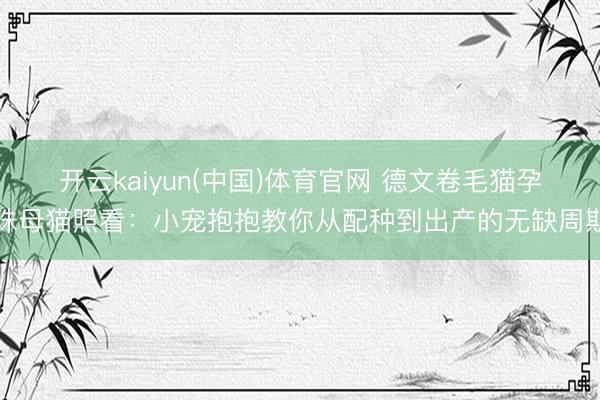 开云kaiyun(中国)体育官网 德文卷毛猫孕珠母猫照看：小宠抱抱教你从配种到出产的无缺周期