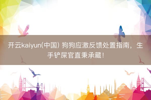 开云kaiyun(中国) 狗狗应激反馈处置指南，生手铲屎官直秉承藏！