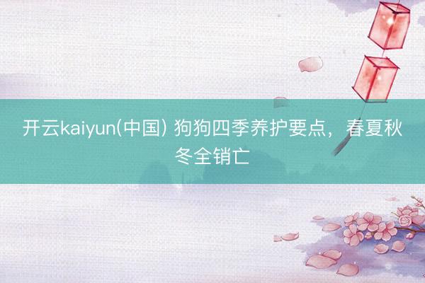 开云kaiyun(中国) 狗狗四季养护要点，春夏秋冬全销亡
