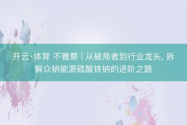 开云·体育 不雅察 | 从破局者到行业龙头， 拆解众钠能源硫酸铁钠的进阶之路